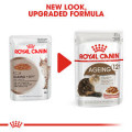 Royal Canin Ageing +12 in Gravy For Cats 12歲以上老年貓 (肉汁 ) 85g 